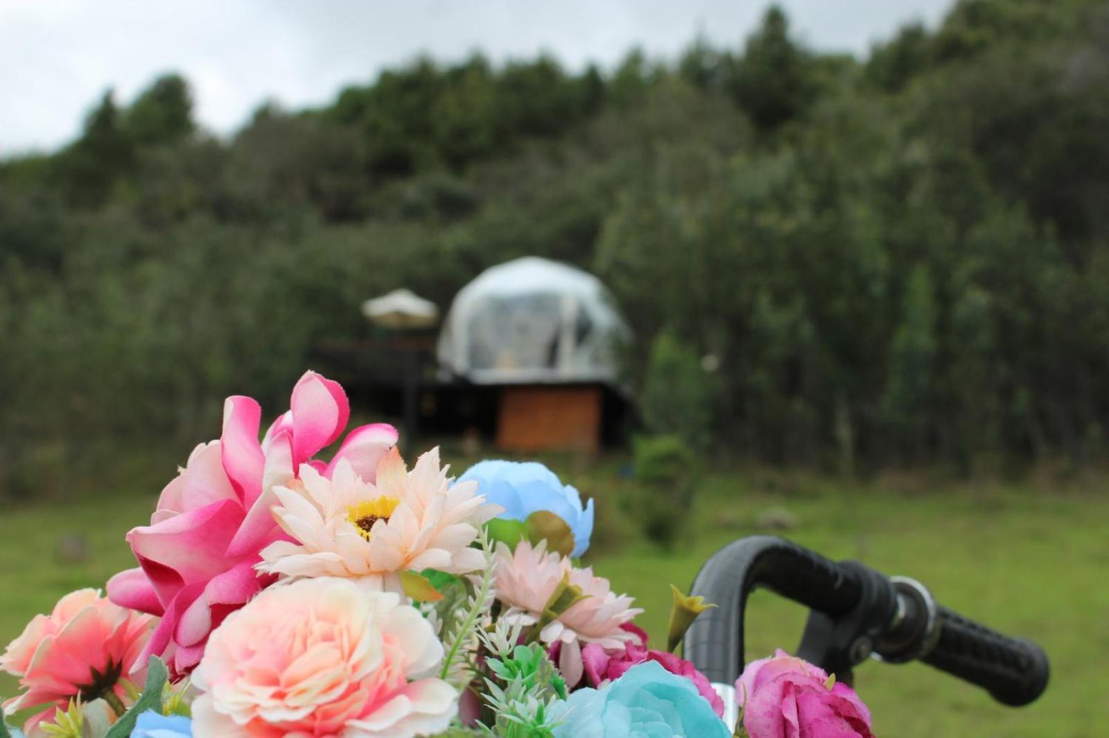 Glamping La Villa Guatavita Eksteriør billede